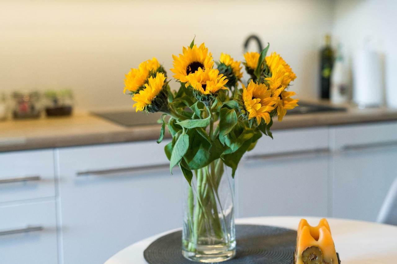 Sunflower Apartment Krakkó Kültér fotó